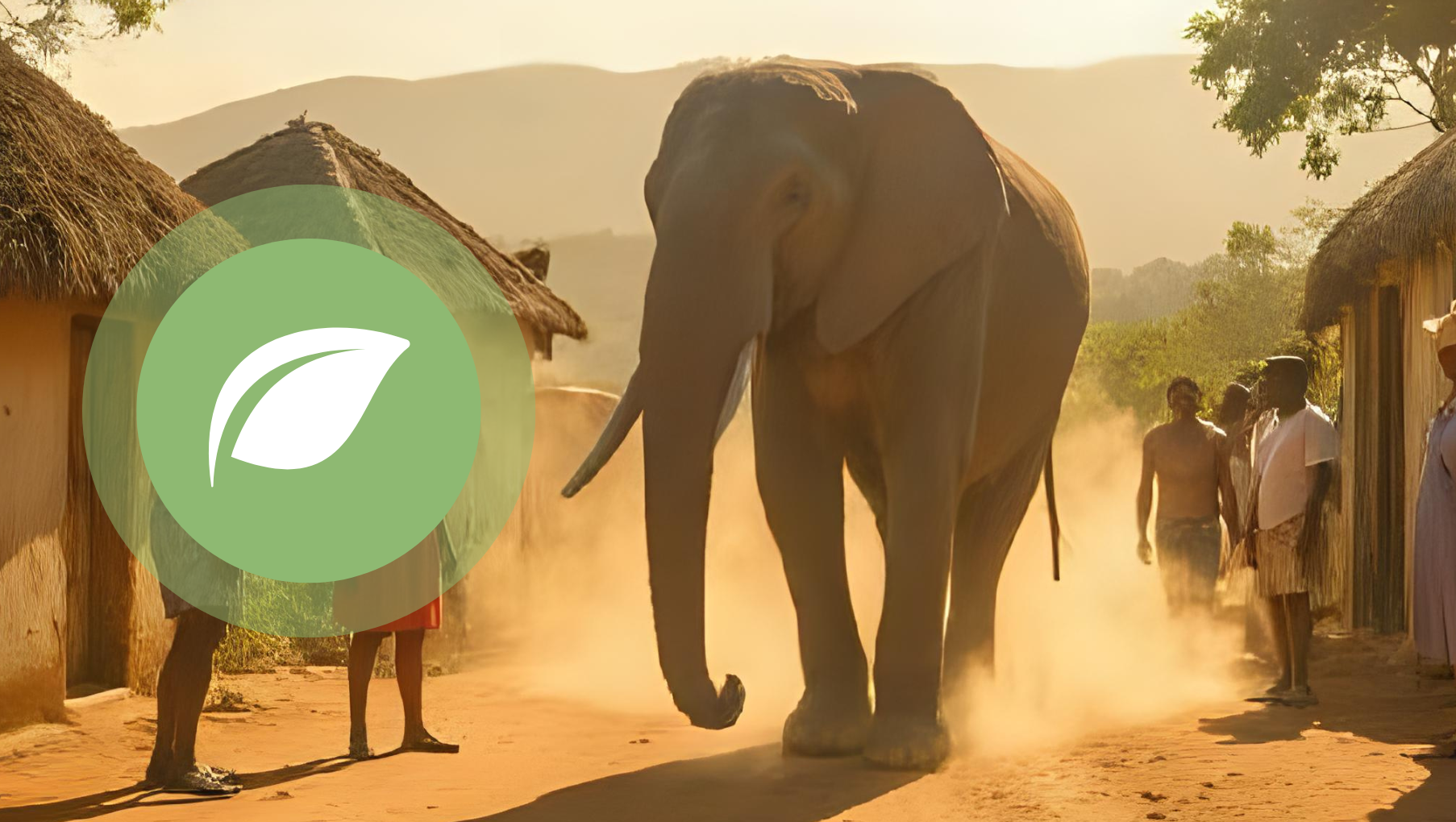 Tutoriel - Gérer les conflits homme-faune sauvage dans les aires protégées T04
